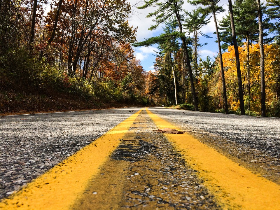 North Carolina Road Trips