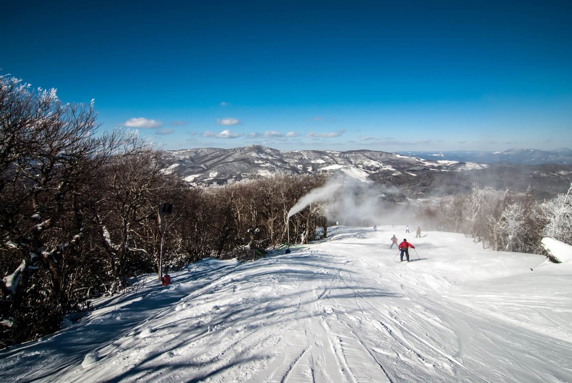 Skiing : Things To Do in Maggie Valley NC