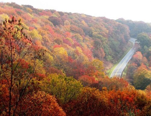 Escape to North Carolina Mountain Resorts This Fall
