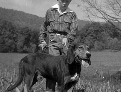 Find Out Why The Plott Hound is a Smoky Mountain Man’s Best Friend