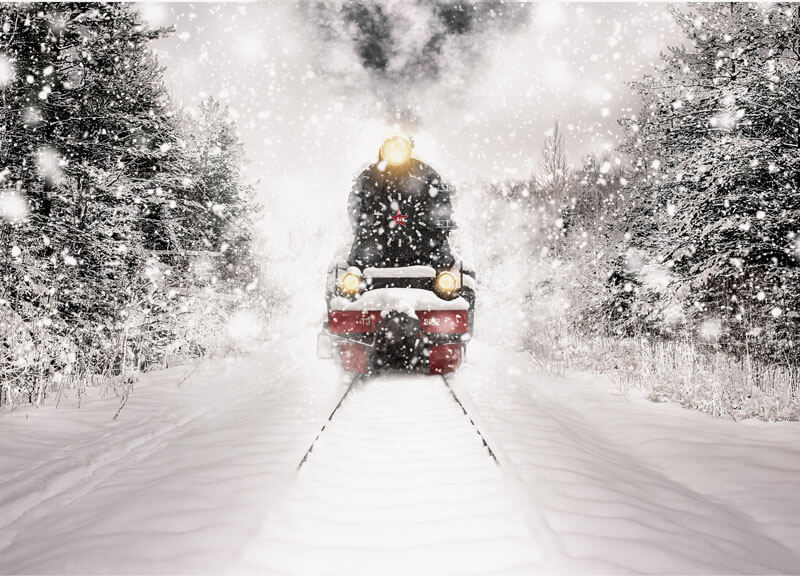 Festive Train Ride