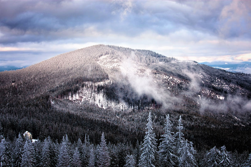 Smoky Mountain Winter
