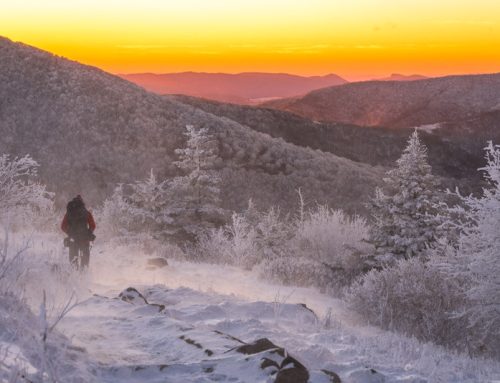 5 Exhilarating Winter Hiking Trails in the Smoky Mountains