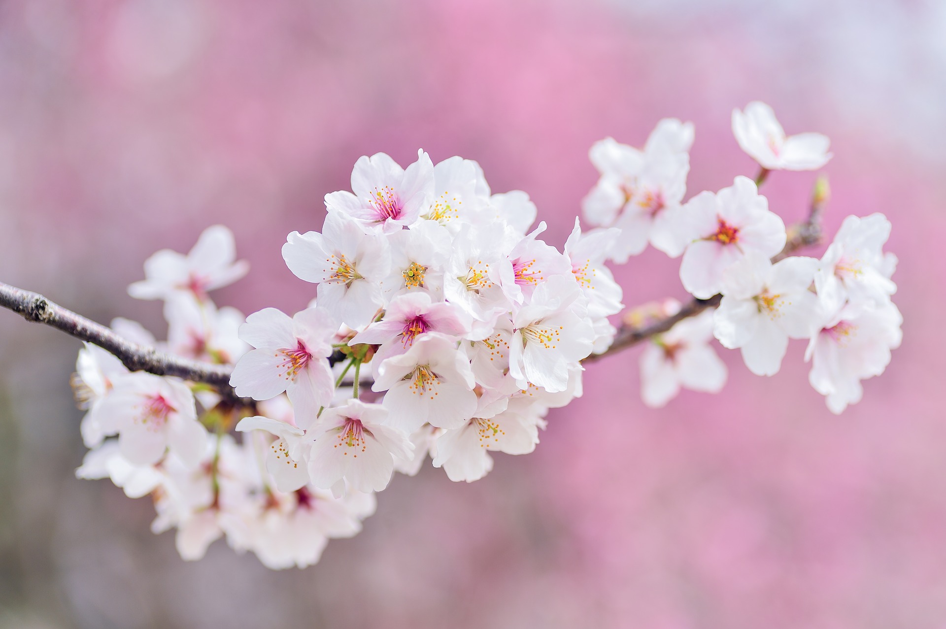 Spring Gateway