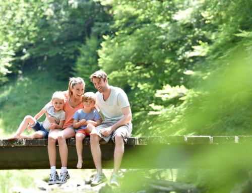 Discover the Perfect Family Friendly Summer Vacation in the Smoky Mountains