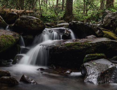 Cool Off in These 14 Refreshing Smoky Mountain Waterfalls