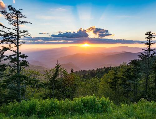 Summer Fun Awaits with the Best Outdoor Activities in the Smoky Mountains