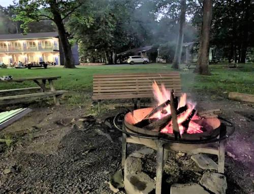 Your Guide to August at Meadowlark Motel 🌞