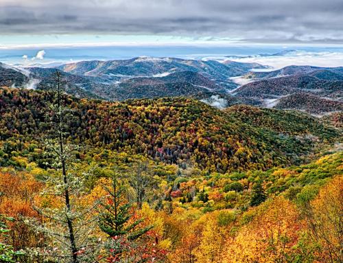 Unforgettable Spring Break: Discover Maggie Valley’s Meadowlark Motel