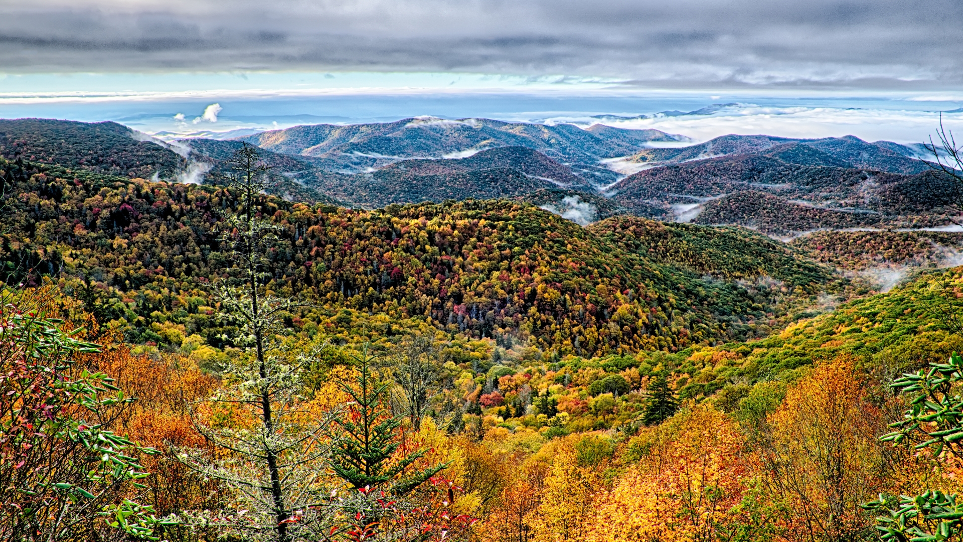 Maggie Valley Mountains