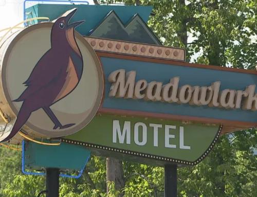 #MeadowlarkMagic Moments: Guest Stories