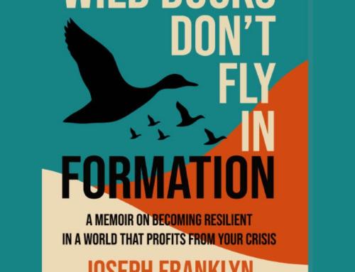 Wild Ducks Don’t Fly in Formation Has Officially Launched!